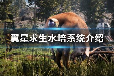 《翼星求生》水培是什么