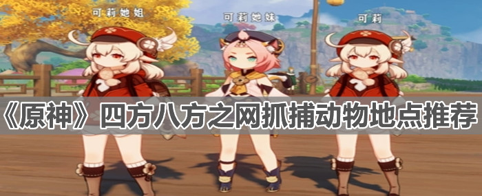 《原神》四方八方之网抓捕动物地点推荐