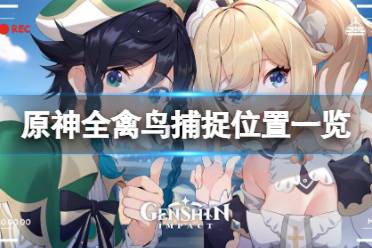 《原神》禽鸟在哪抓