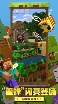 我的世界：蜜蜂来袭截图