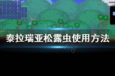 《泰拉瑞亚》松露虫有什么用