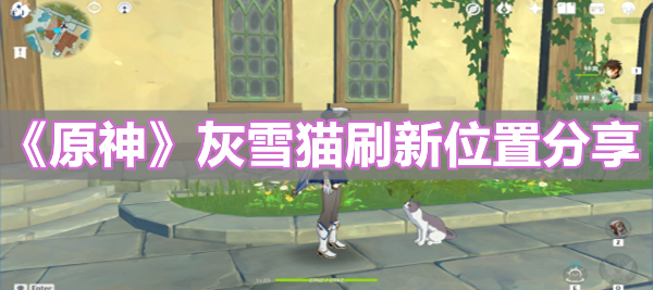 《原神》灰雪猫刷新位置分享