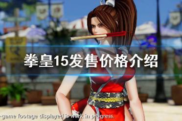 《拳皇15》售价多少