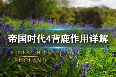 《帝国时代4》背鹿有什么用