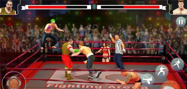 赞成摔跤争斗截图
