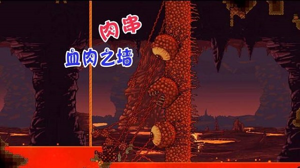 《泰拉瑞亚》肉山掉落物品有什么