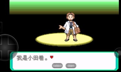 究极绿宝石B神战纪念截图