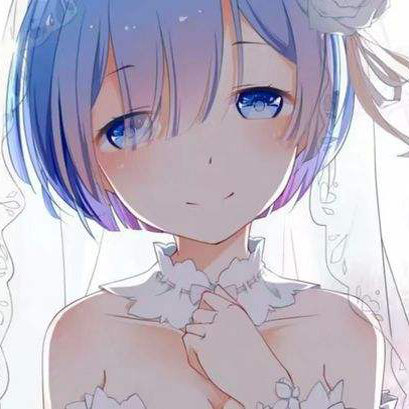 和蕾姆一起荒岛生活