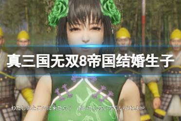 《真三国无双8帝国》结婚生子条件一览 怎么结婚生子