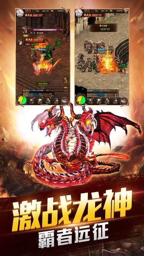 宠物带麻痹的传奇截图