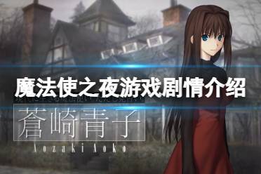 《魔法使之夜》好玩吗