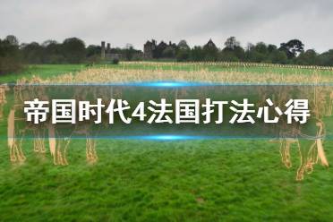 《帝国时代4》法国怎么打