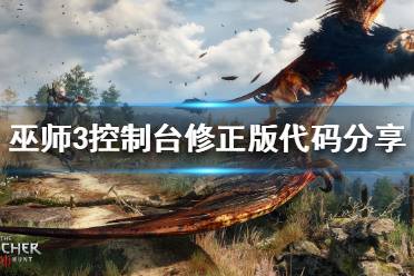 《巫师3》代码有哪些