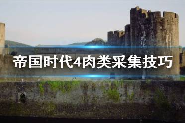 《帝国时代4》采肉要注意什么