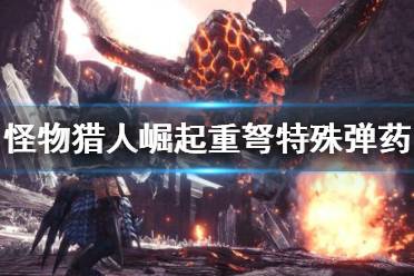 《怪物猎人崛起》重弩特殊弹药是什么