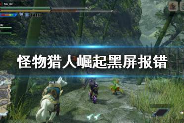 《怪物猎人崛起》黑屏报错怎么办