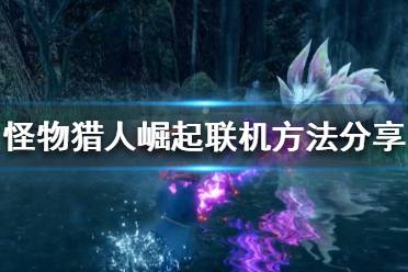 《怪物猎人崛起》如何组队