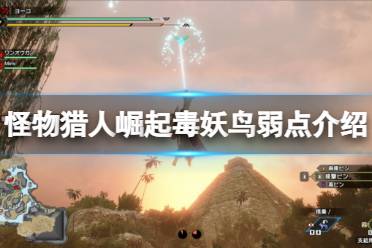 《怪物猎人崛起》毒妖鸟怎么打