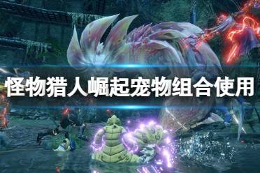 《怪物猎人崛起》猎犬和猫带什么好