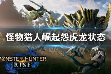 《怪物猎人崛起》怨虎龙怎么打