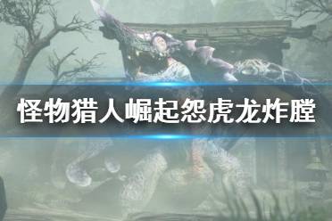 《怪物猎人崛起》怨虎龙炸膛机制是什么