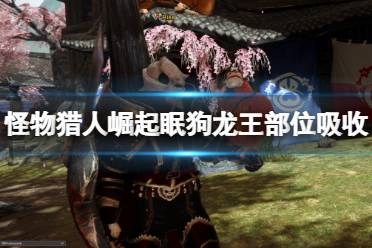 《怪物猎人崛起》眠狗龙王用什么属性打