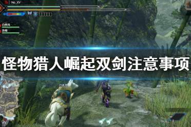 《怪物猎人崛起》双剑要注意什么