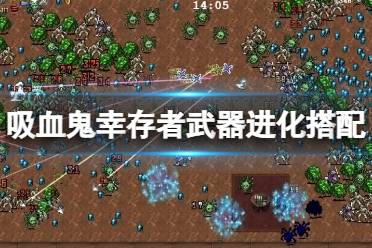 《吸血鬼幸存者》武器进化怎么搭配