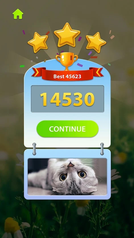 禅块拼图-木数独拼图截图