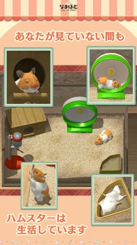 与仓鼠生活截图