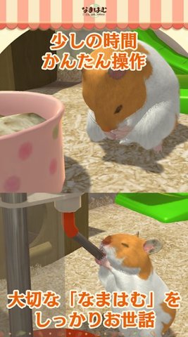 与仓鼠生活截图