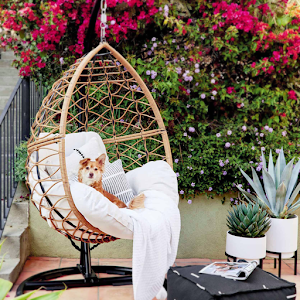 家居和花园设计：花园之爱