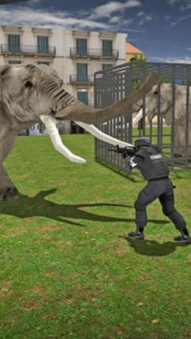 疯狂的大象截图