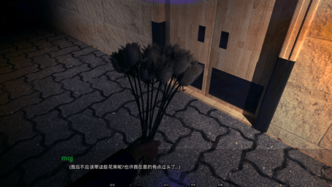 欧美风华正茂截图