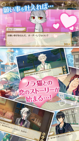 与流浪猫的恋爱炼金术截图