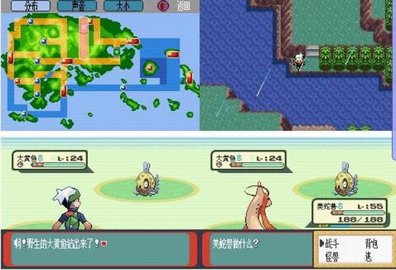 口袋妖怪彩宝石洁白圣龙截图