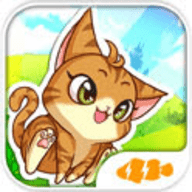 抖音猫咪冲冲冲