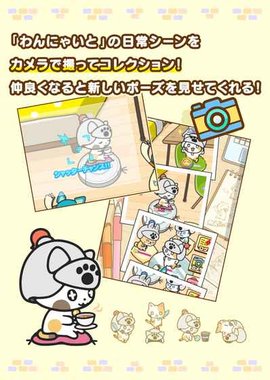 汪喵和骑士团截图