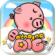 Bounding pig