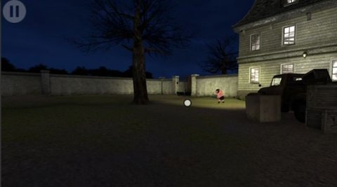 孤独的小猪截图