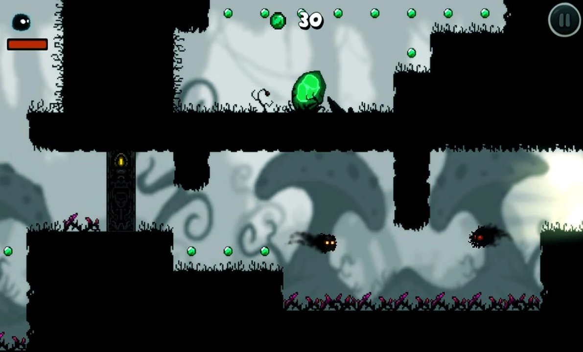 阴凉的土地截图