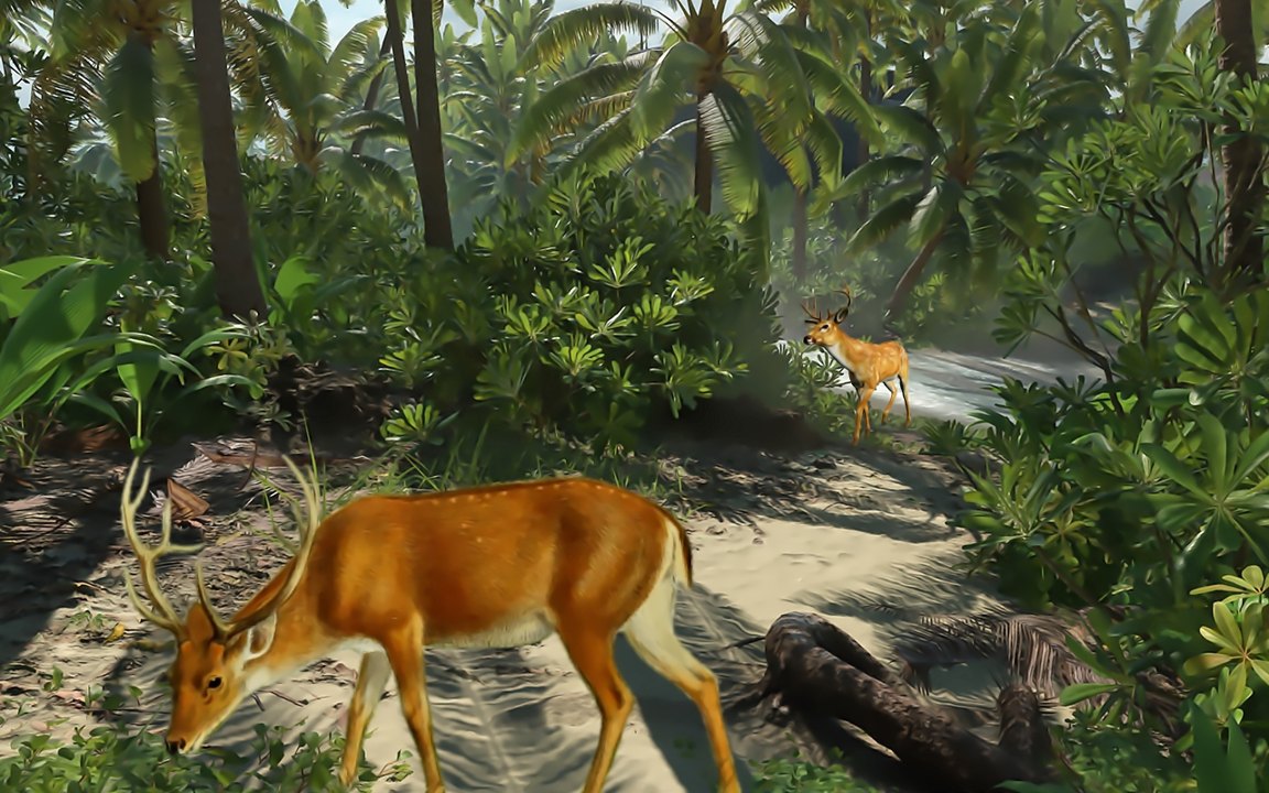 动物狙击手狩猎截图