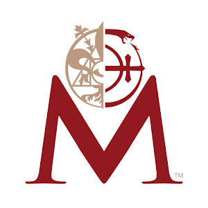 皮蒂官的谋杀之谜