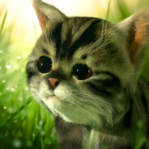 猫咪追寻-猫冒险