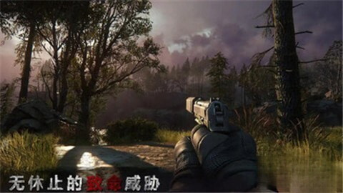 猎杀僵尸最强者截图