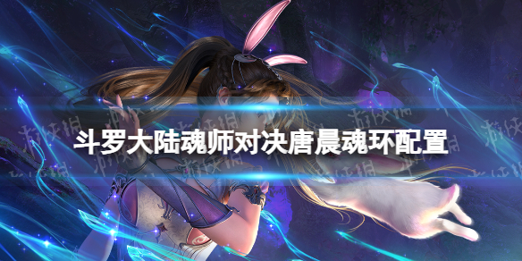 《斗罗大陆魂师对决》唐晨魂环配置 唐晨魂环搭配
