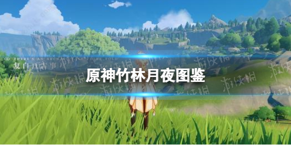 《原神手游》竹林月夜图鉴 竹林月夜有什么用