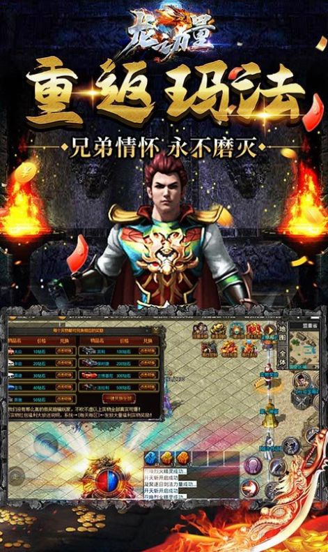 龙之力量雷龙二合一截图