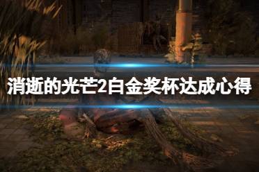 《消逝的光芒2》白金奖杯达成心得分享 白金奖杯有什么技巧