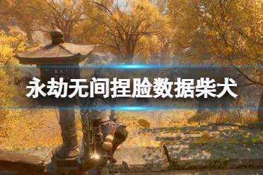 《永劫无间》捏脸数据柴犬分享 柴犬怎么捏